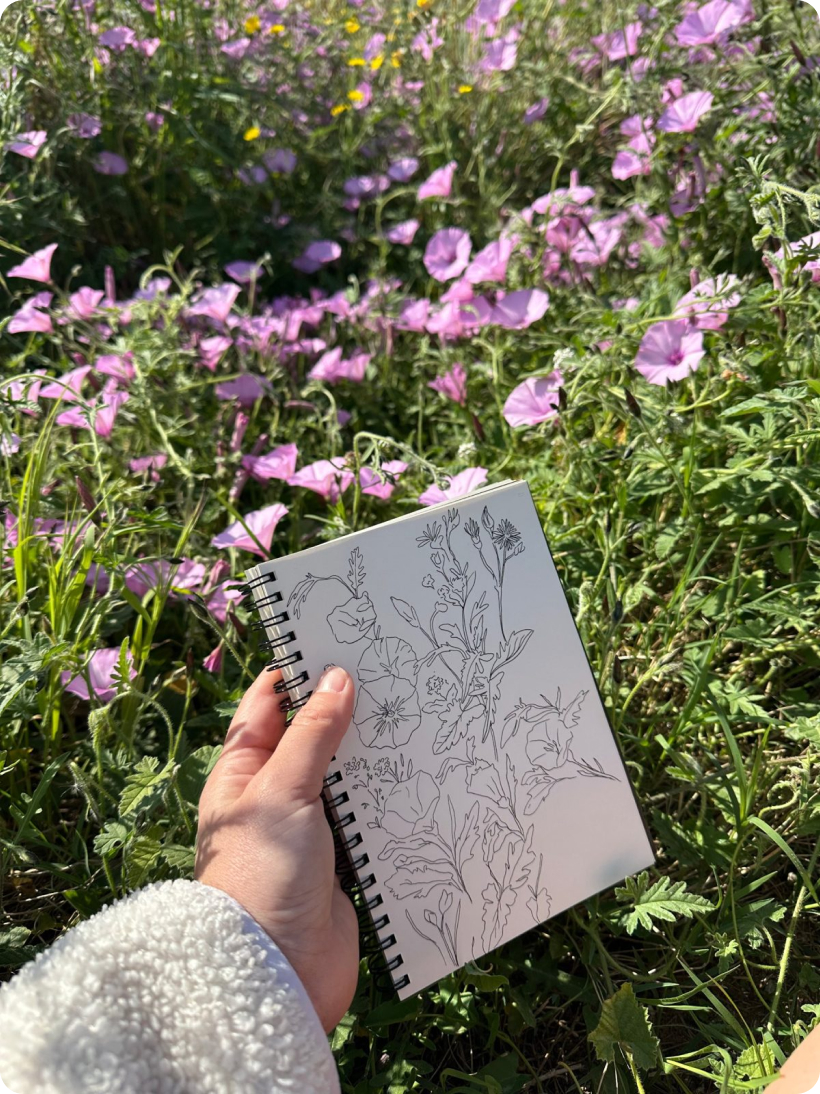 Pencil drawing of wildflowers, held up in front of real flowers