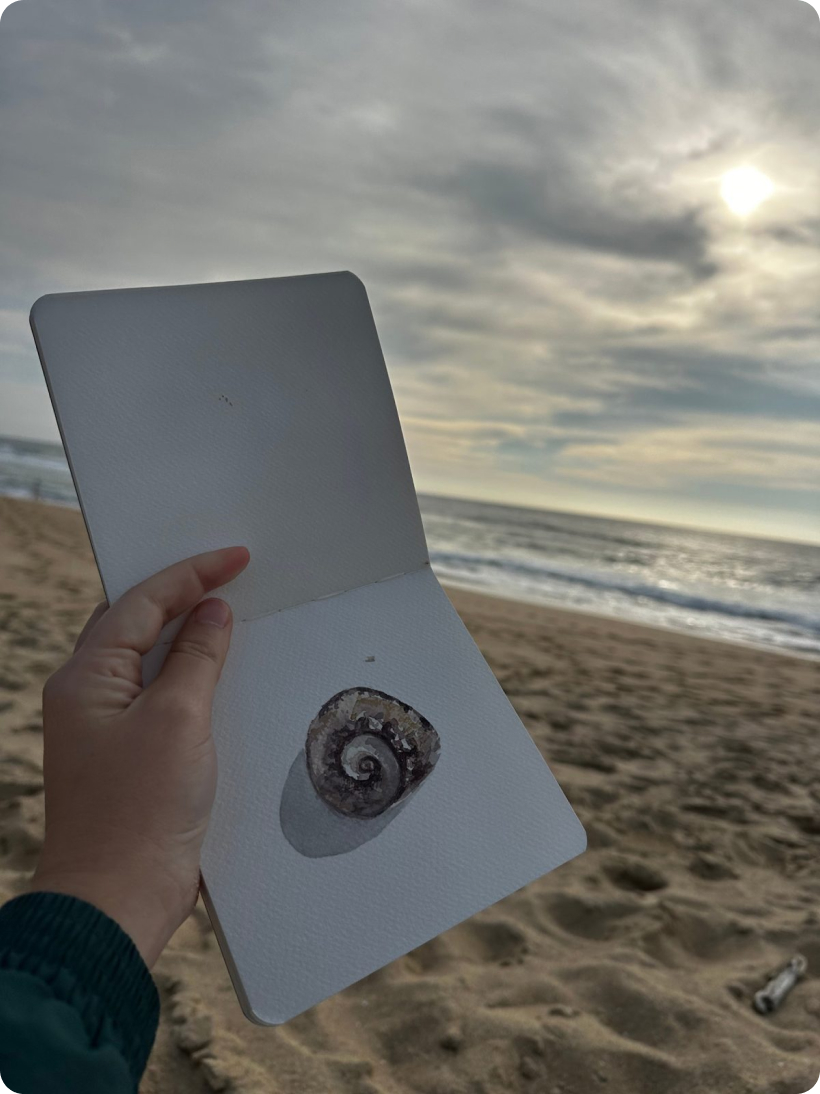 Watercolor of a seashell, held up at the beach